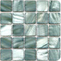 Seashell series