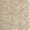 Beach stone