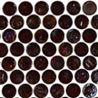 Root Beer Round
