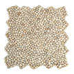 Beige Beach Stone