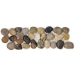 Pheasant Pebble Border