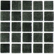 Coal