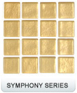 Symphony Series