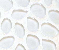Cobble3 Polished White