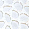 Cobblestone series