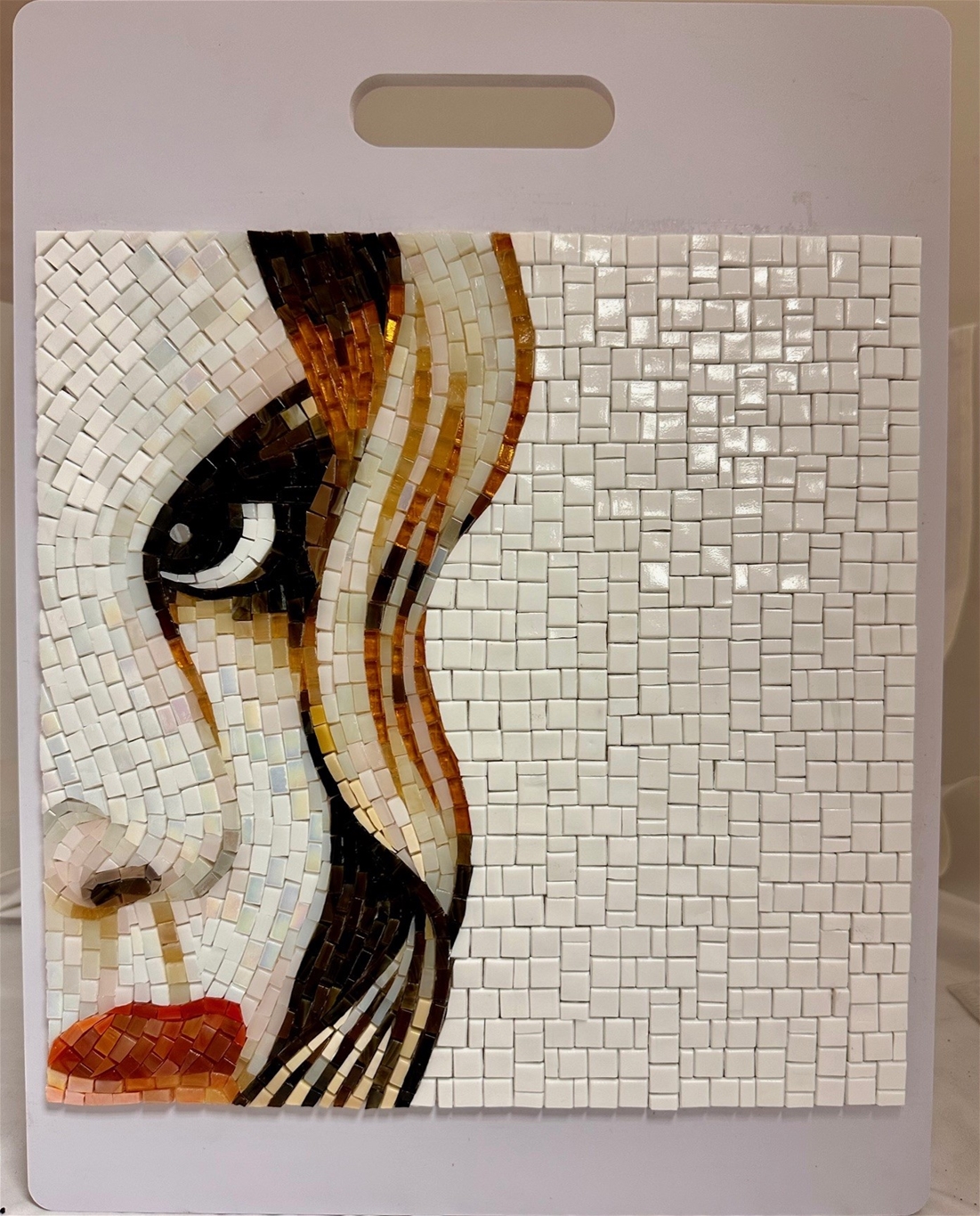 Mural display Board